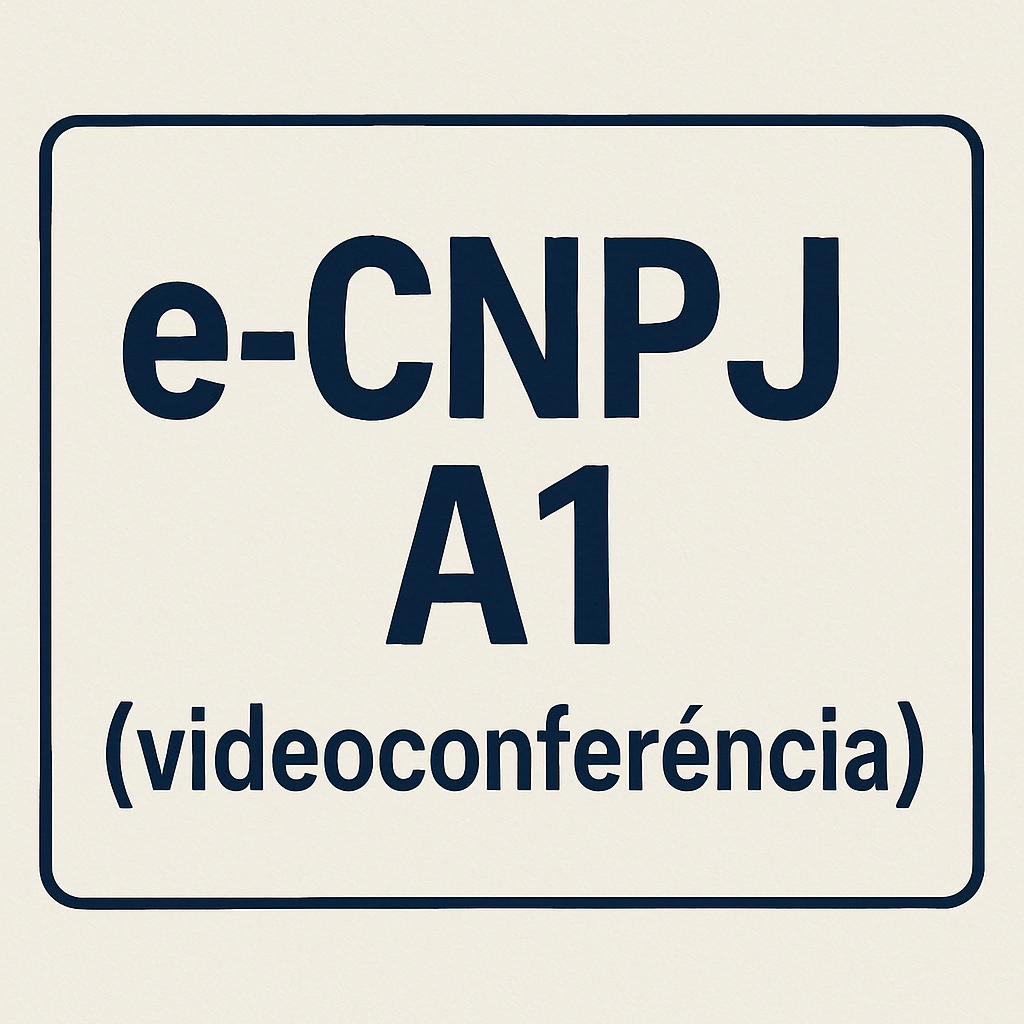 e-CNPJ A1  (videoconferência)